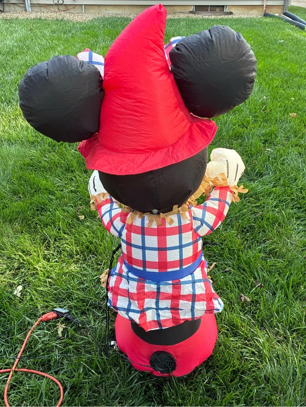 Disney eye catching